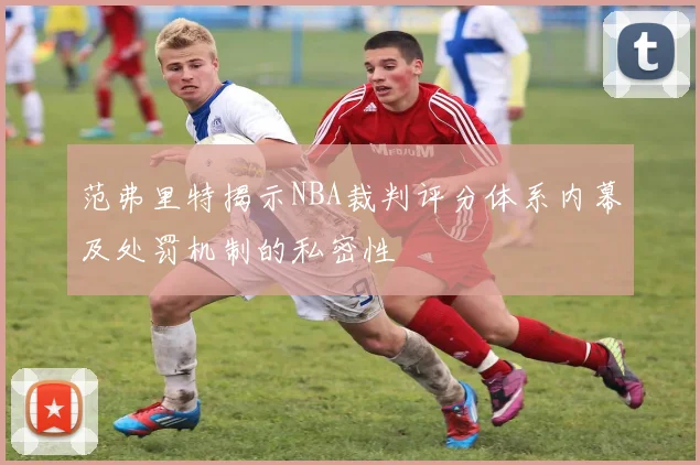 范弗里特揭示NBA裁判评分体系内幕及处罚机制的私密性