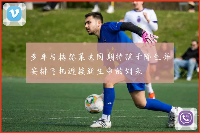 多库与梅赫莱共同期待孩子降生并安排飞机迎接新生命的到来